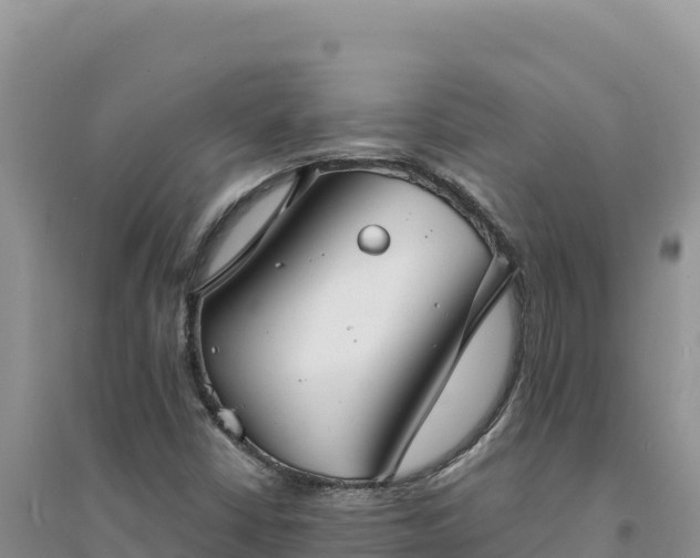 X0000094351402200711091441