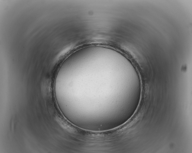 X0000094351403200711091441