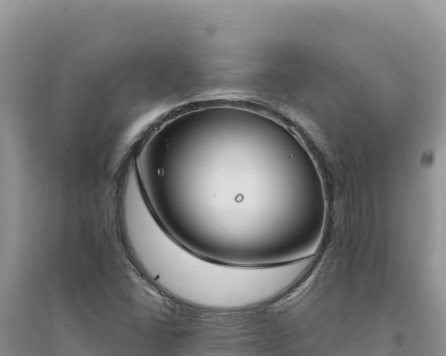 X0000094351406200711091441