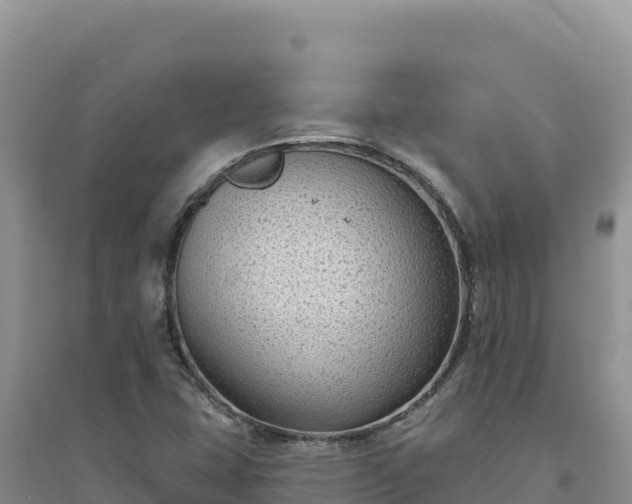 X0000094351407200711091441