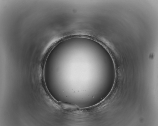 X0000094351408200711091441