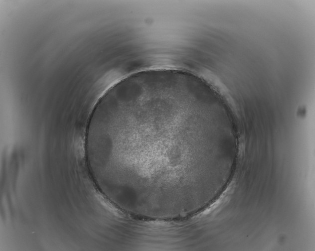 X0000094351409200711091441