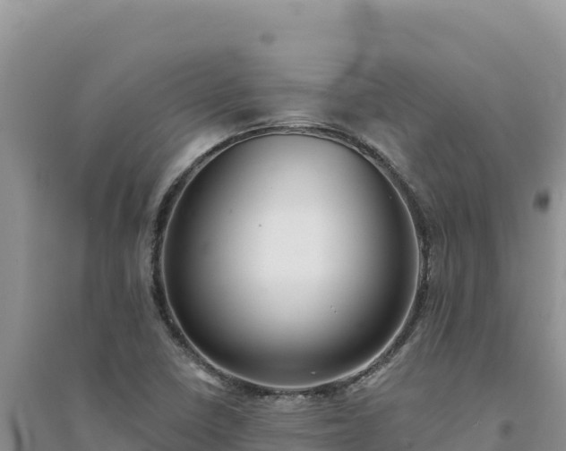 X0000094351410200711091441