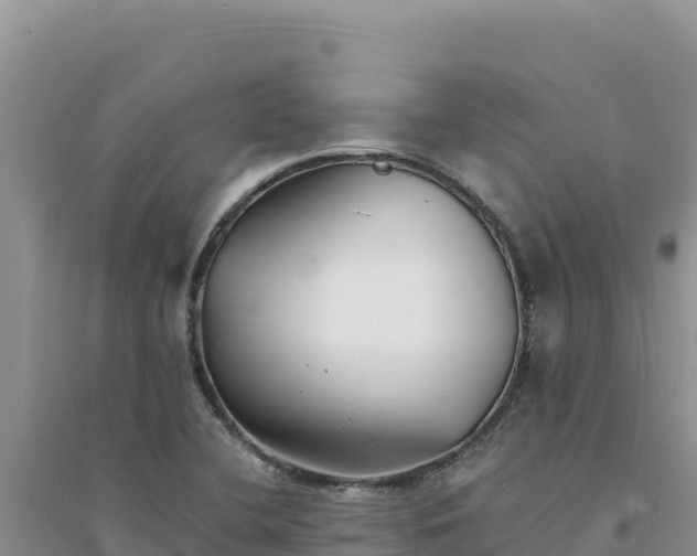 X0000094351412200711091441