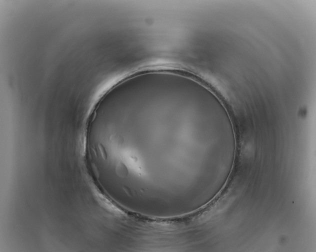 X0000094351413200711091441