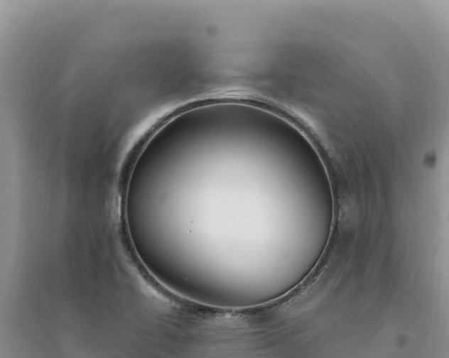 X0000094351414200711091441