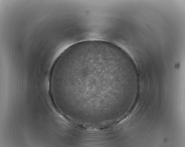 X0000094351415200711091441