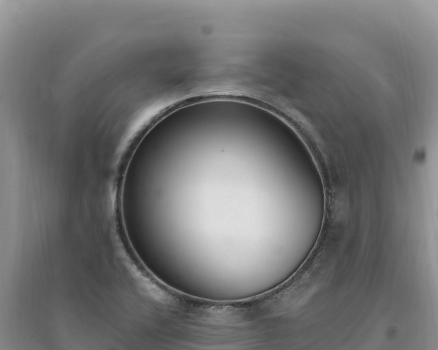 X0000094351416200711091441