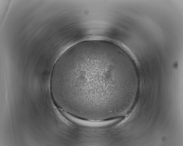 X0000094351417200711091441