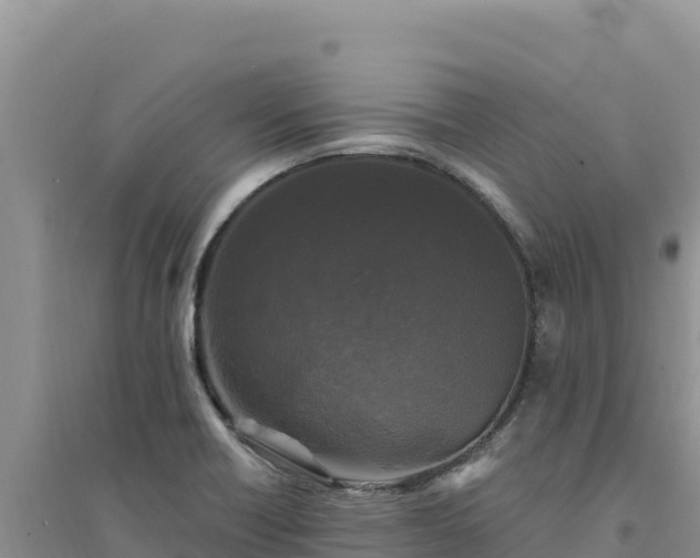 X0000094351418200711091441