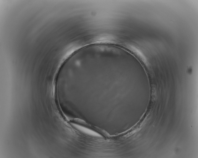 X0000094351419200711091441