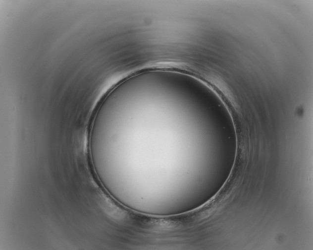 X0000094351420200711091441