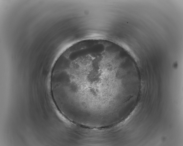 X0000094351421200711091441