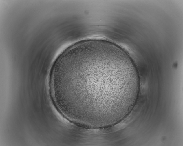 X0000094351422200711091441