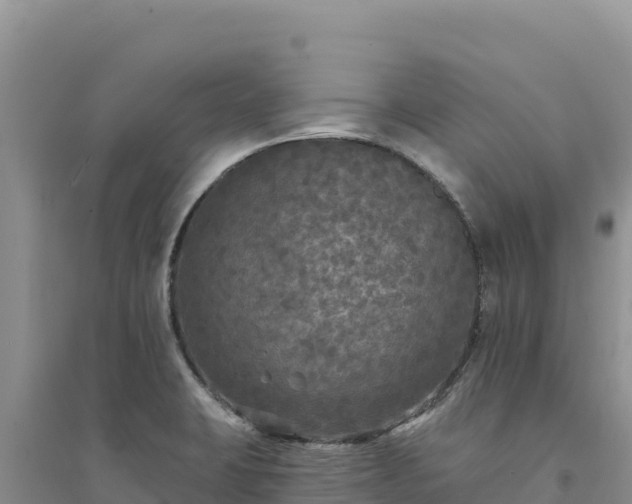 X0000094351423200711091441