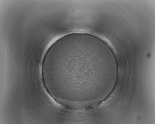 X0000094351424200711091441