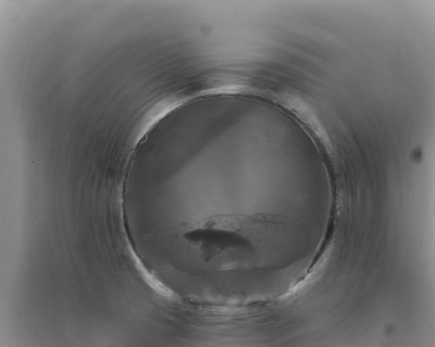 X0000094351425200711091441