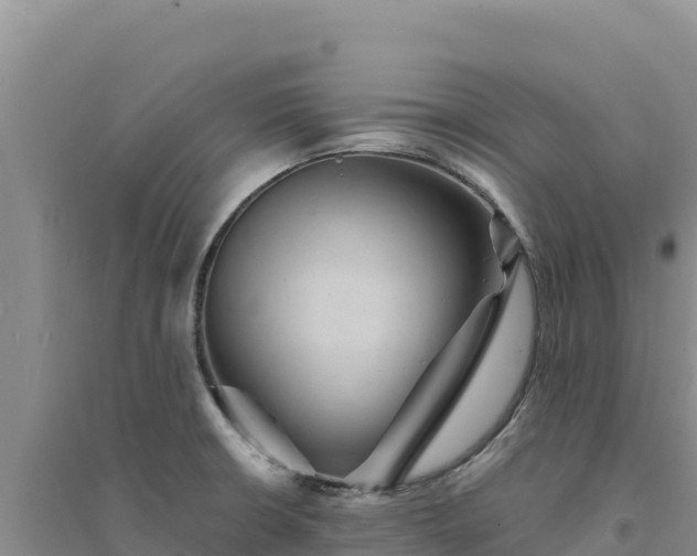 X0000094351426200711091442