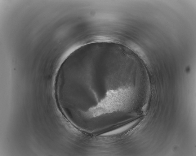 X0000094351427200711091442