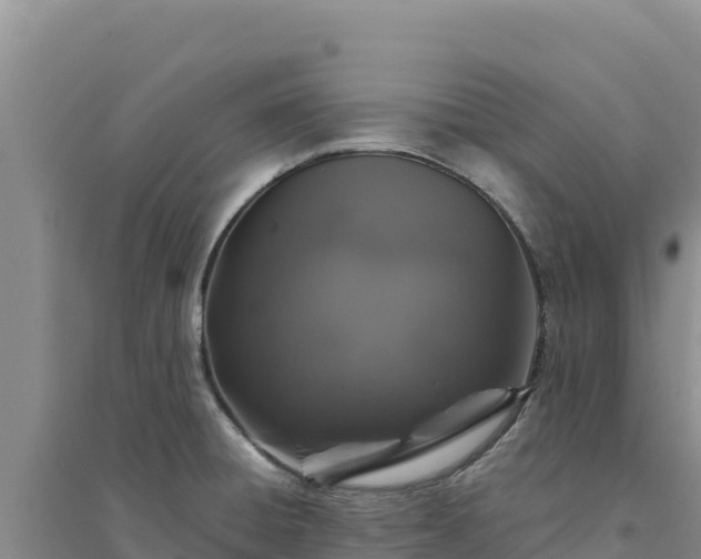 X0000094351428200711091442