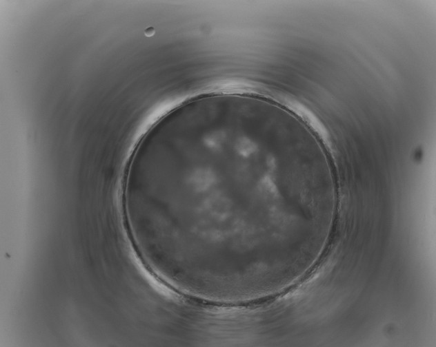 X0000094351429200711091442