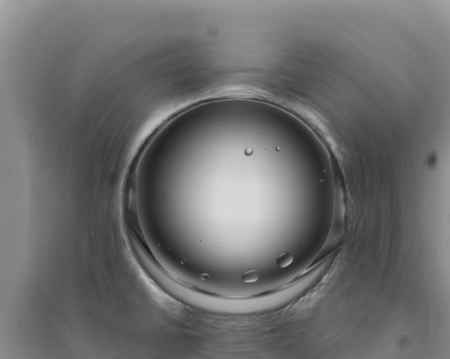 X0000094351430200711091442