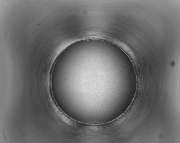 X0000094351431200711091442