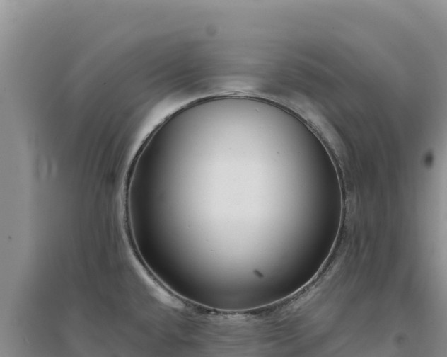 X0000094351432200711091442