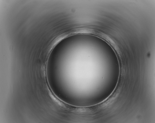 X0000094351433200711091442