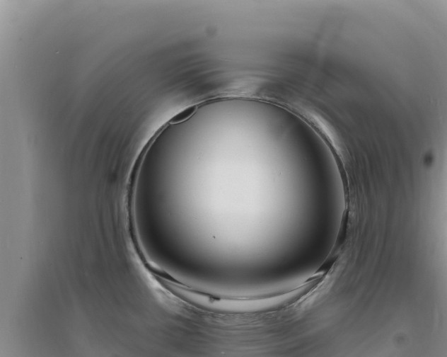 X0000094351434200711091442