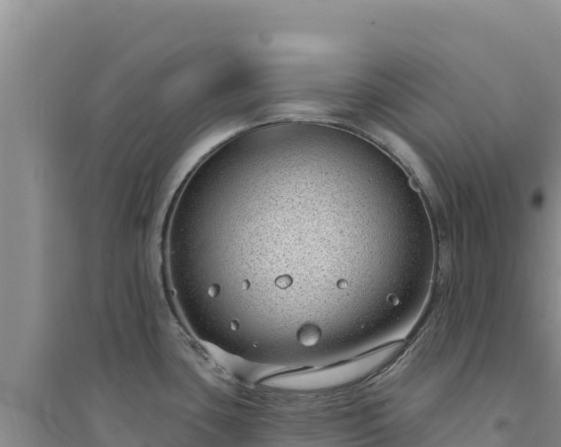 X0000094351435200711091442