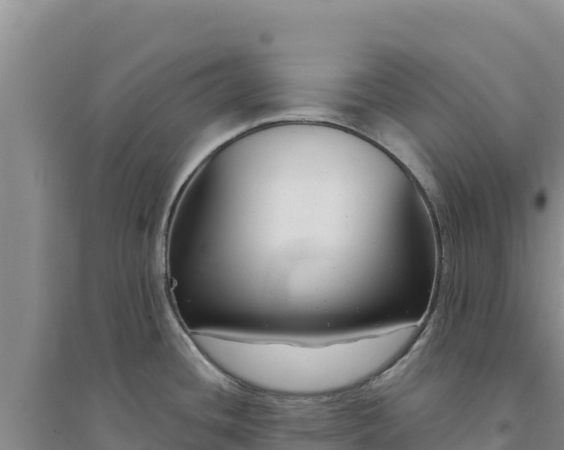 X0000094351436200711091442