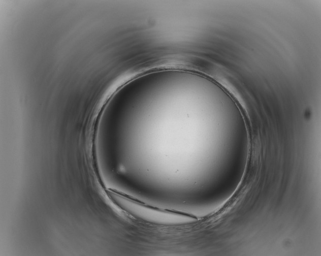 X0000094351437200711091442