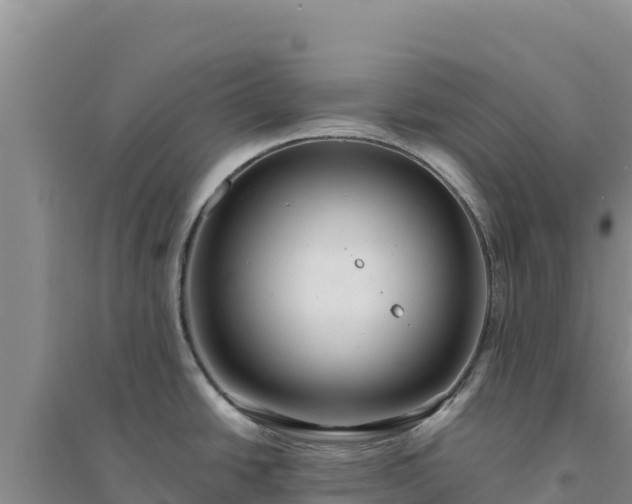 X0000094351438200711091442