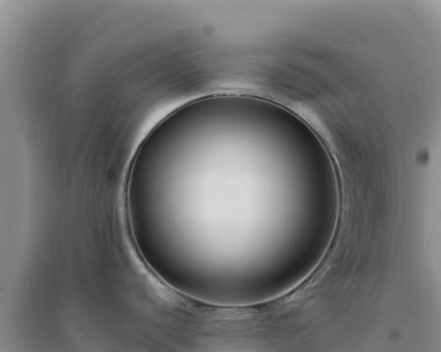 X0000094351440200711091442