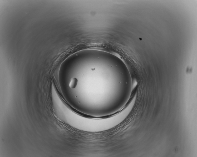 X0000094351441200711091441