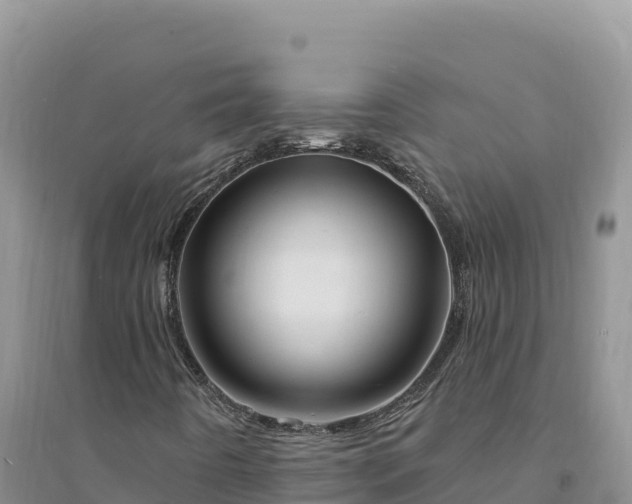 X0000094351442200711091441