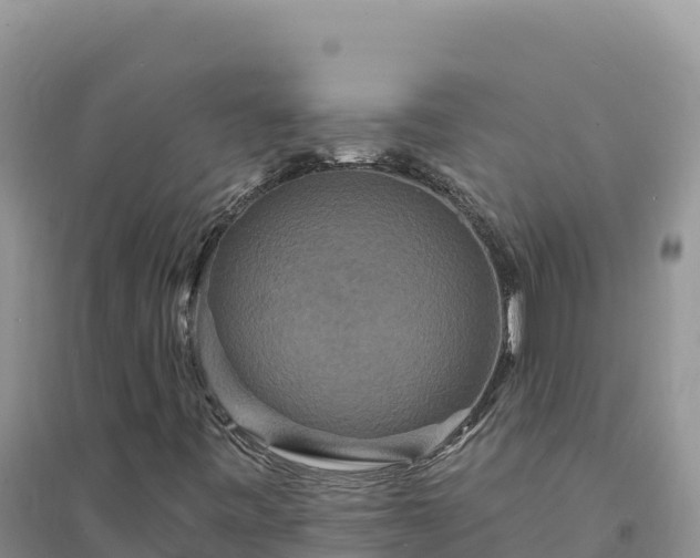 X0000094351443200711091441