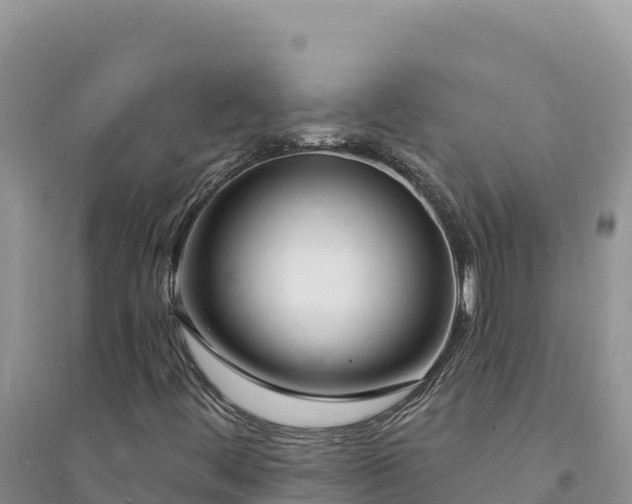 X0000094351444200711091441