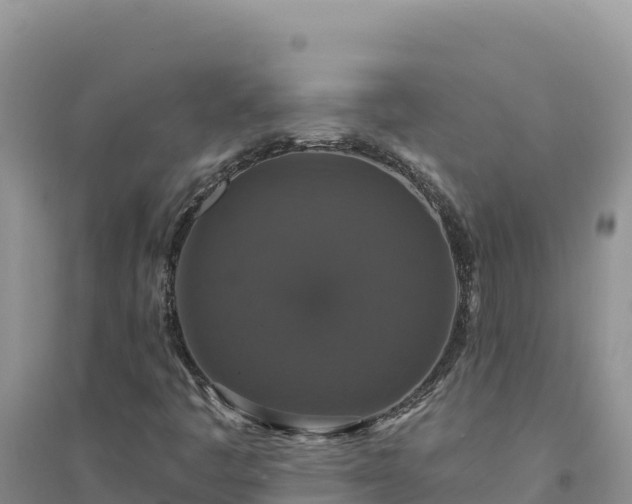 X0000094351445200711091441