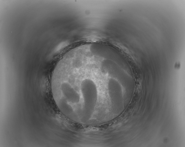 X0000094351446200711091441