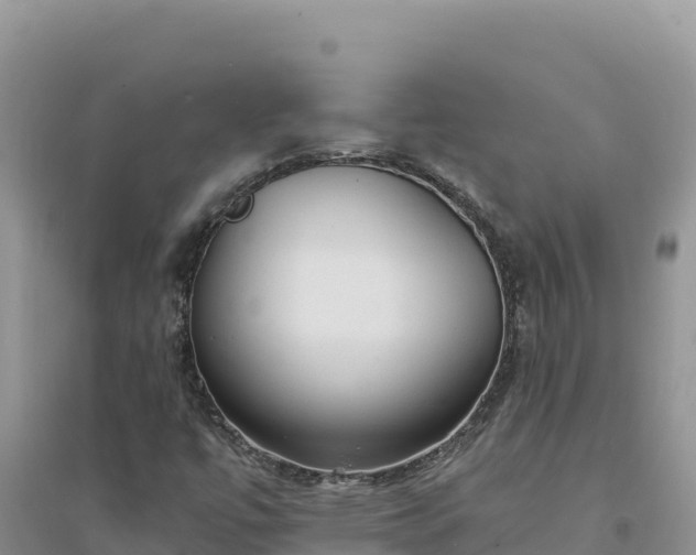 X0000094351447200711091441