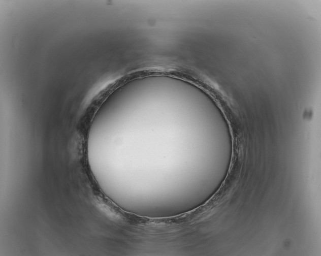 X0000094351448200711091441