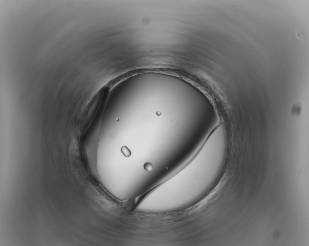 X0000094351449200711091441