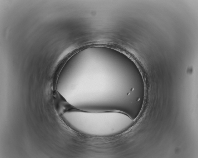 X0000094351450200711091441