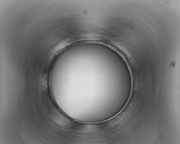 X0000094351451200711091441