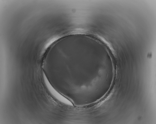 X0000094351453200711091441