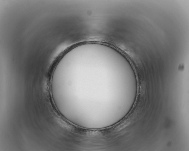 X0000094351454200711091441