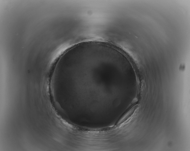 X0000094351455200711091441