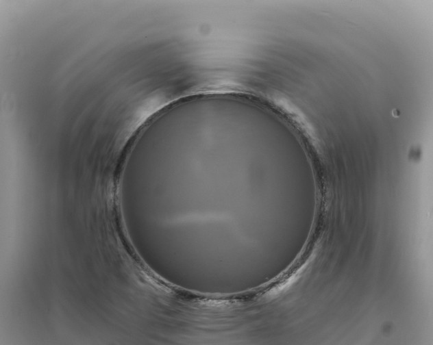 X0000094351457200711091441